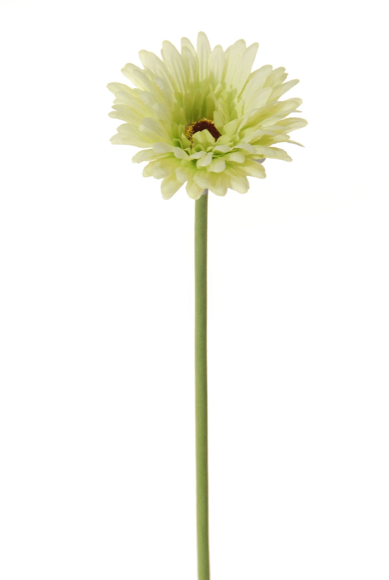 Gerbera 58 cm