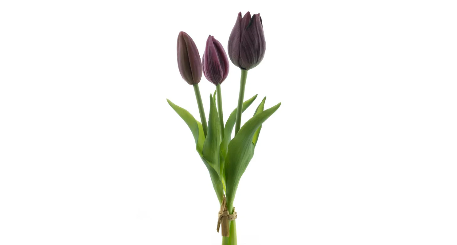 Tulipány silikonové 25 cm 3 ks