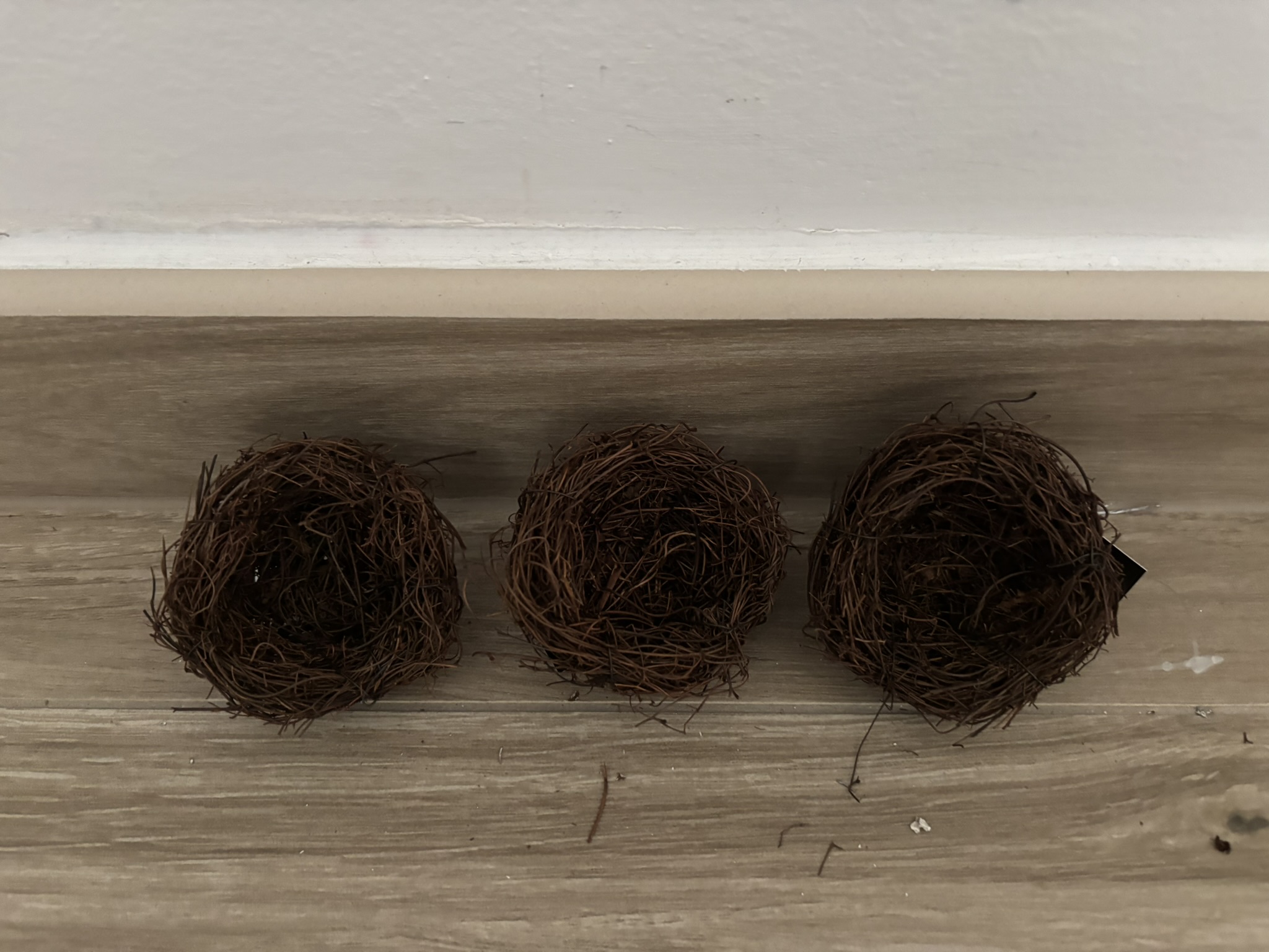 Hnízdo salimové 7 cm