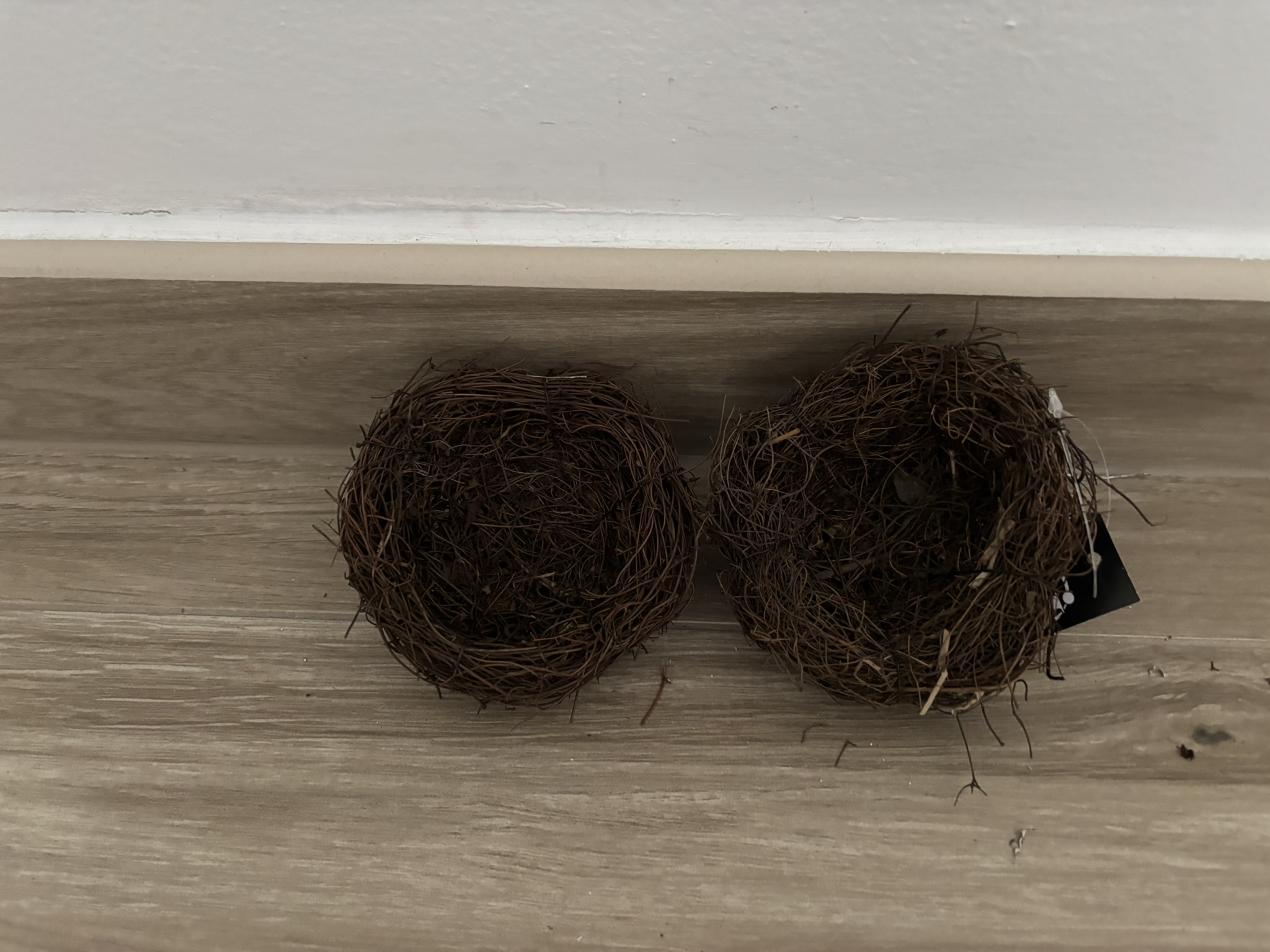 Hnízdo salimové 10 cm