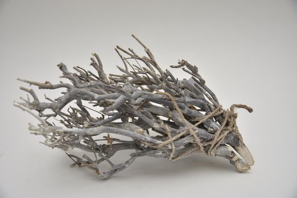 Dřevo a přírodní zápichy